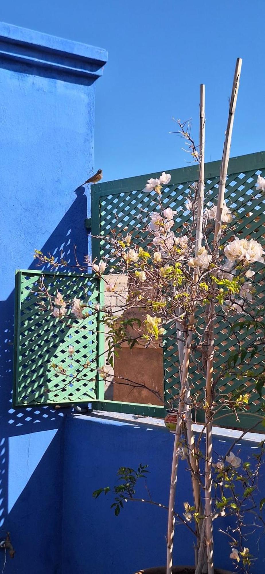 Riad Med Agora Marraquexe Exterior foto