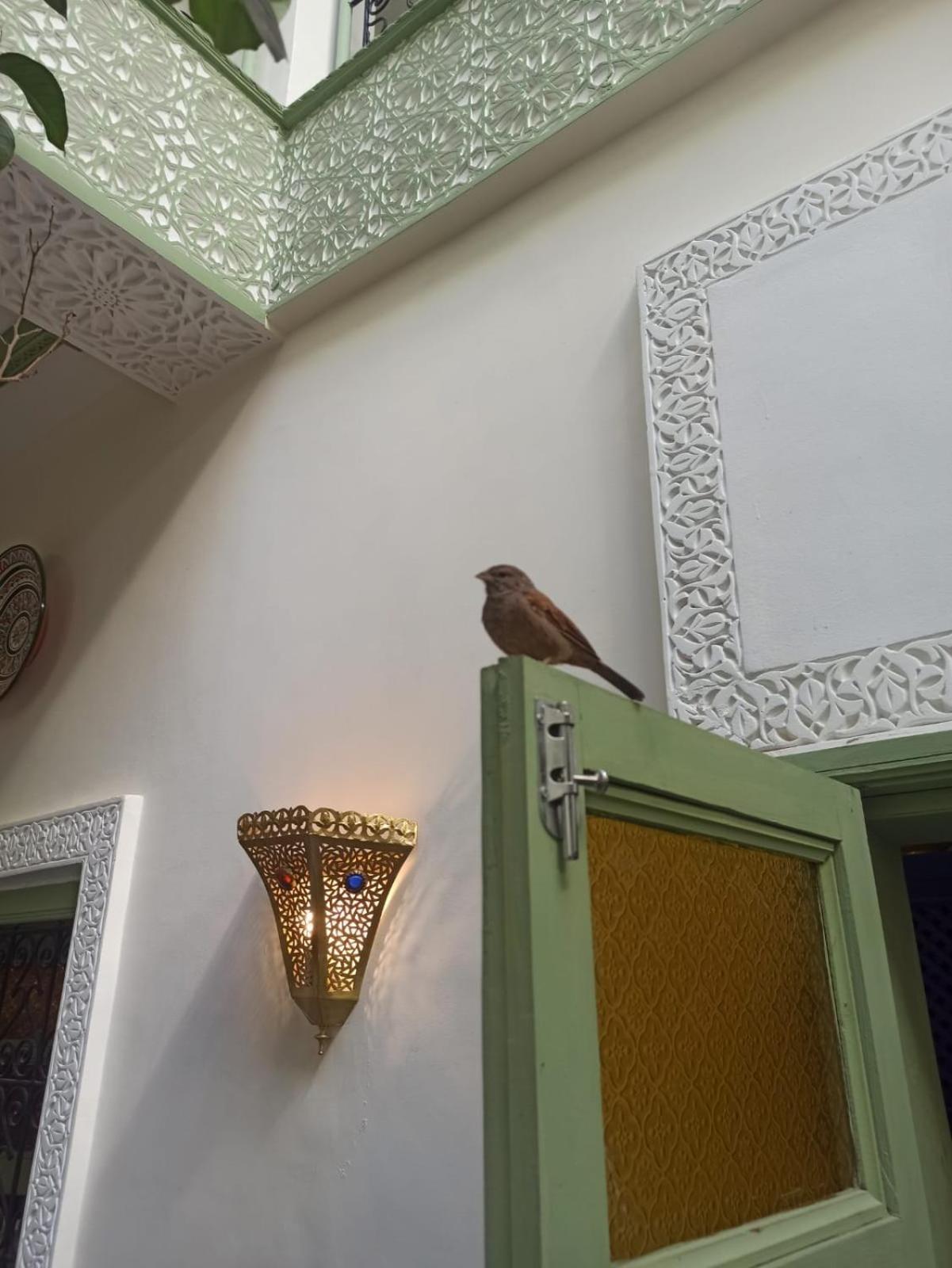 Riad Med Agora Marraquexe Exterior foto